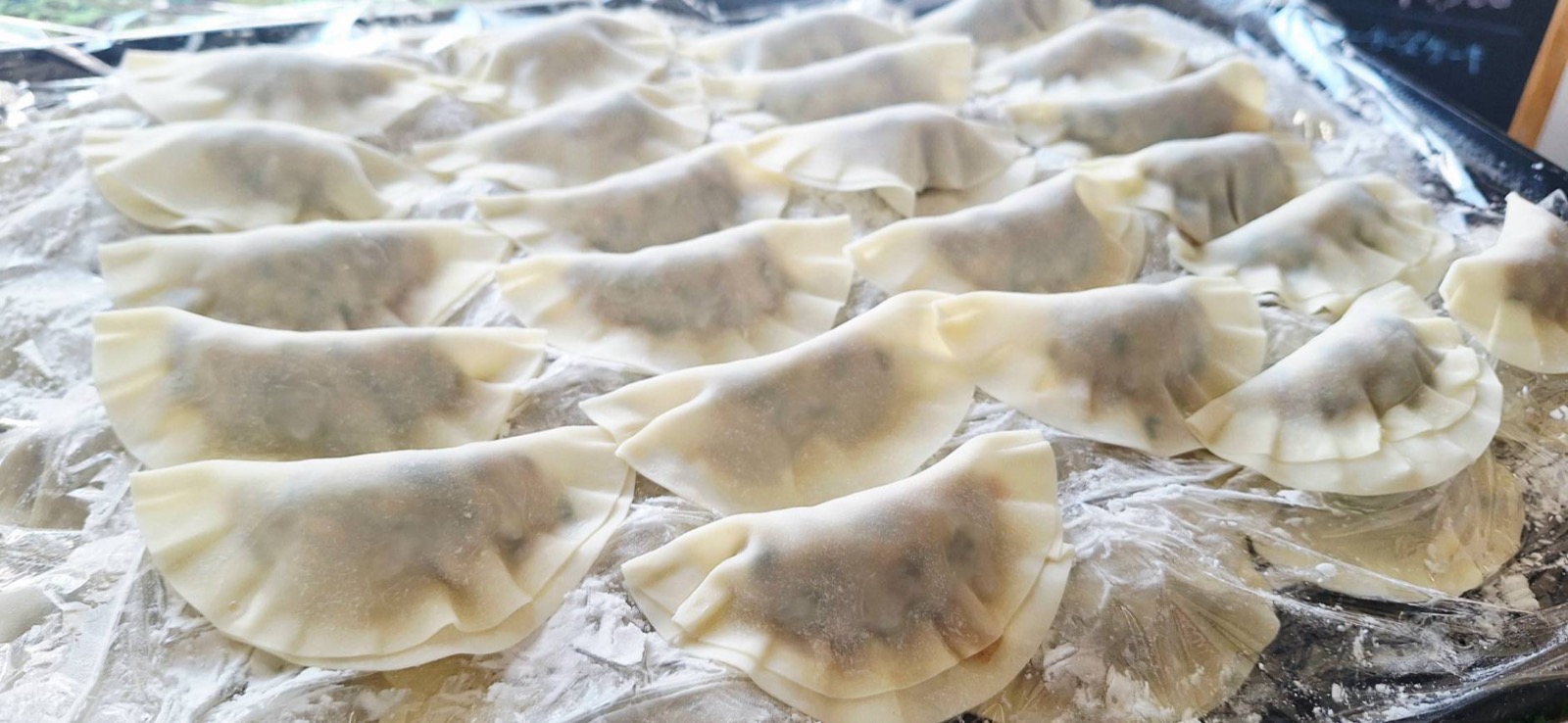バットいっぱいに並んだ包みたての餃子